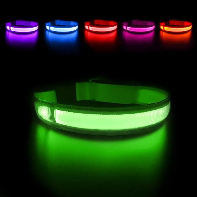 MASBRILL LED Dog Collar - Light Up Dog Collars Rechargeable - Waterproof Night Walking Glowing Dog