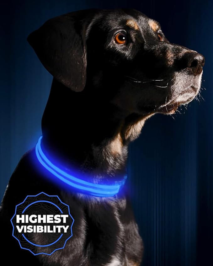 Illumiseen LED Dog Collar USB Rechargeable - Bright & High Visibility Lighted Glow Collar for Pet