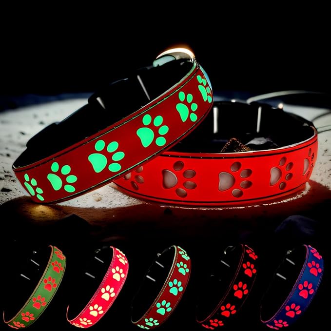 LED Light Up Dog Collar, USB-C Rechargeable, Multicolor Paw Print Design, 15 Modes Lighting Night