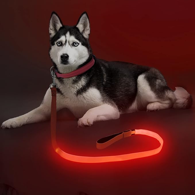 Colaseeme Light Up Dog Leash, LED Pet Leashes USB Rechargeable, Glow Safety Dogs Lights at Night
