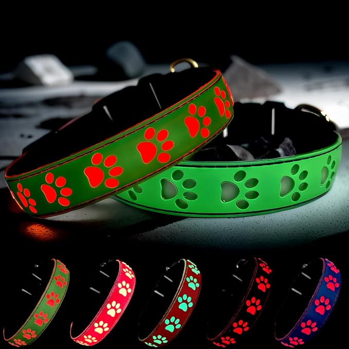 LED Light Up Dog Collar, USB-C Rechargeable, Multicolor Paw Print Design, 15 Modes Lighting Night