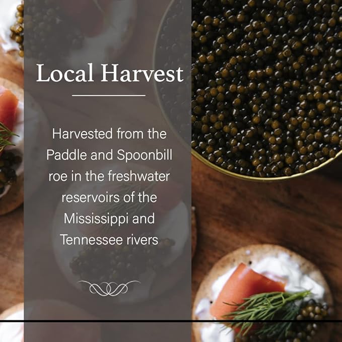 OVERNIGHT SHIPPING - OLMA American Paddlefish Black Caviar - Medium Grey Pearls, Smooth Flavor