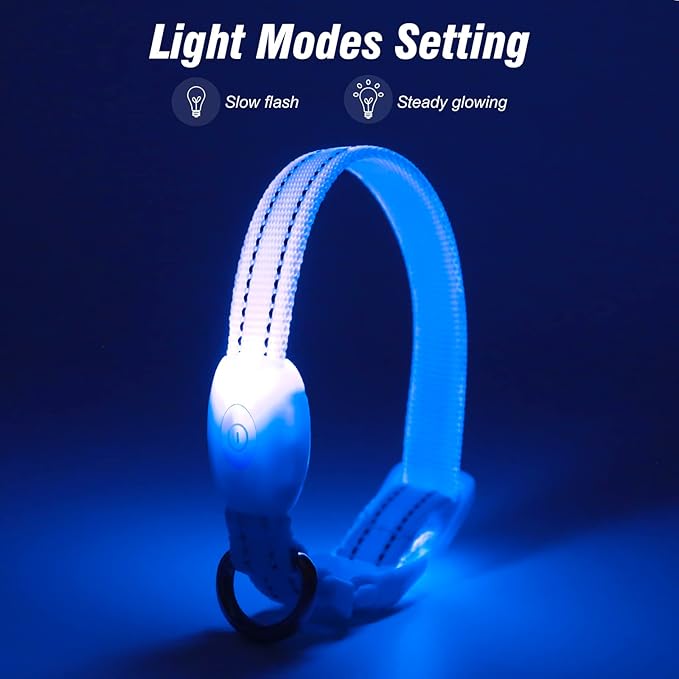 Visinite Light Up Dog Collars for Small Dogs,LED Dog Collar Light Rechargeable,Fully Adjustable