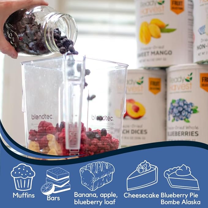 Ready Harvest Freeze-dried Blueberries Fruit Healthy Snacks Trail Mix Camping food, School Snacks