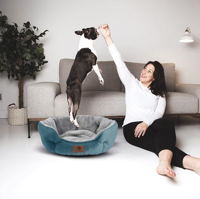 Asvin Small Dog Bed for Small Dogs, Cat Beds for Indoor Cats, Pet Bed for Puppy and Kitty, Extra