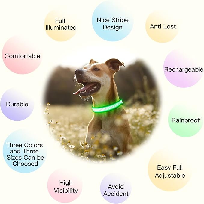 YFbrite Light up Dog Collar, USB Rechargeable LED Puppy Collar Super Bright Adjustable Glowing Dog
