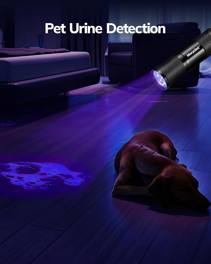 Morpilot Black Light Flashlight Mini UV Flashlight: 395nm Blacklight Flashlights, 9 Led Pet Urine