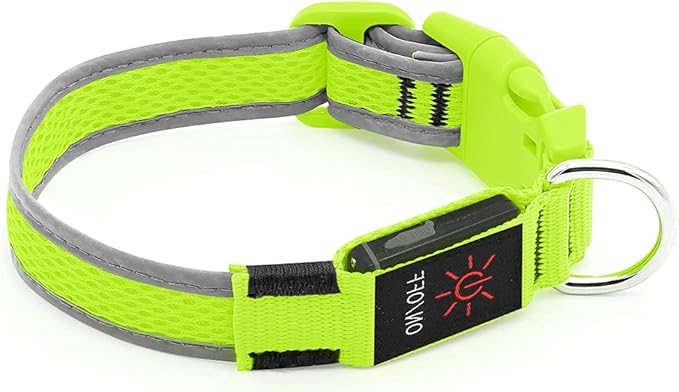 YFbrite Light up Dog Collar, USB Rechargeable LED Puppy Collar Super Bright Adjustable Glowing Dog