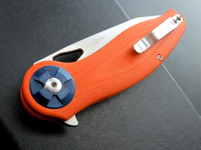 Eafengrow EF76 Ball Bearing Folding Knife for Camping EDC Pocket Knife with G10 Handle & D2