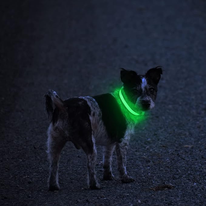 MASBRILL LED Dog Collar,Night Light Up Dog Collars Rechargeable Waterproof Glowing Dog Collar for