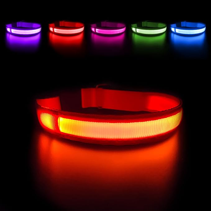 MASBRILL Light Up Dog Collar - LED, Rechargeable, Waterproof Glow Collar for Night Walking with