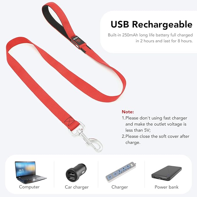 Colaseeme Light Up Dog Leash, LED Pet Leashes USB Rechargeable, Glow Safety Dogs Lights at Night