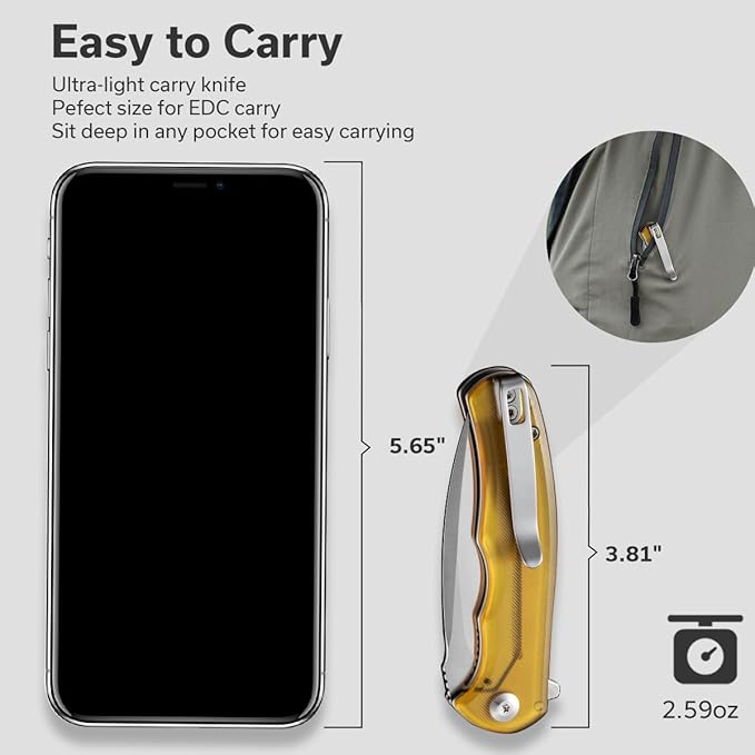 CIVIVI Mini Praxis Pocket Knife for EDC, Folding Pocket Knife with 2.98" D2 Blade Ultem Handle with