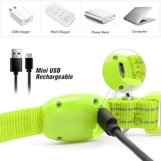 Visinite Light Up Dog Collars for Small Dogs,LED Dog Collar Light Rechargeable,Fully Adjustable
