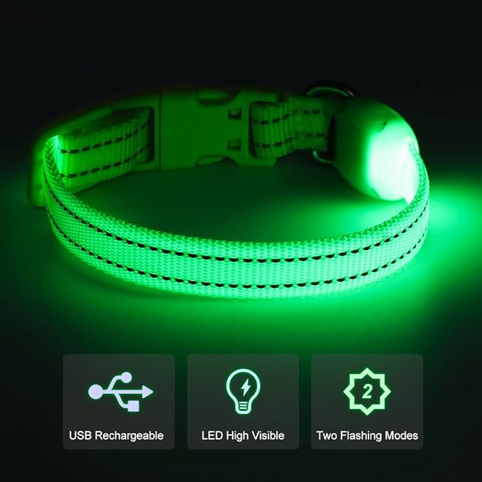 Light Up Dog Collar for Small Dogs - Rechargeable Puppy Collars Glow in The Dark LED Dog Collar
