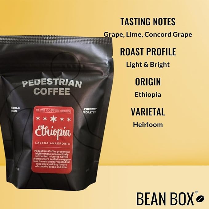 Bean Box Chicago Coffee Sampler, 2-Pack - Roasted by Pedestrian, Gourmet Arabica Coffee, Variety