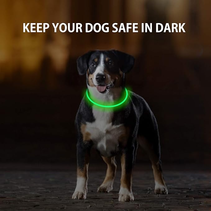 2-Pack LED Dog Collar, Light Up Dog Collars,Rechargeable Dog Lights for Night Walking，Universal