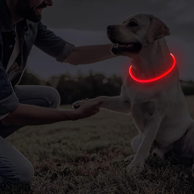 Frienda 4 Pcs Dog Collar LED USB Rechargeable Lights Dog Necklace Collars Doggy Lights for Night