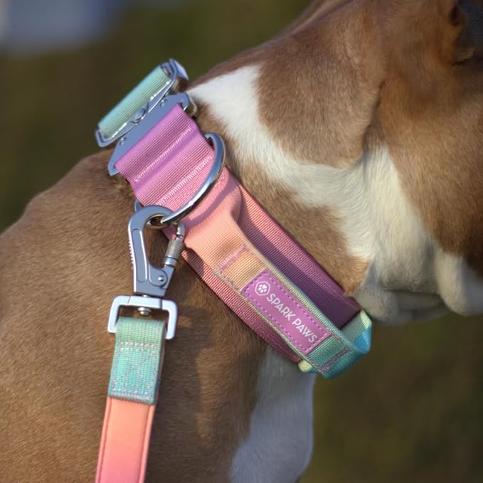 Tactical Dog Collar with Handle - Premium Quality Collar, Robust and Durable Design for Large