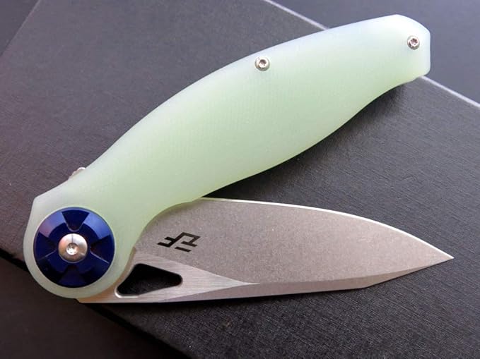 Eafengrow EF76 Ball Bearing Folding Knife for Camping EDC Pocket Knife with G10 Handle & D2