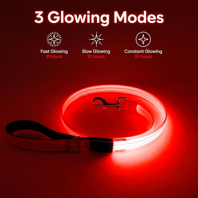 LED Dog Leash, 4 Ft Light Up, USB Rechargeable, Waterproof, Nylon Reflective with Padded Handle