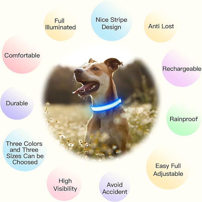YFbrite Light up Dog Collar, USB Rechargeable LED Puppy Collar Super Bright Adjustable Glowing Dog