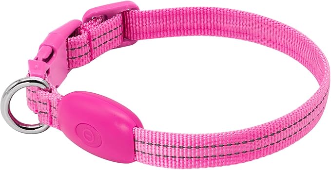 LED Dog Collar - Light Up, Adjustable, Rechargeable, Waterproof - Night Walking, Glow in Dark