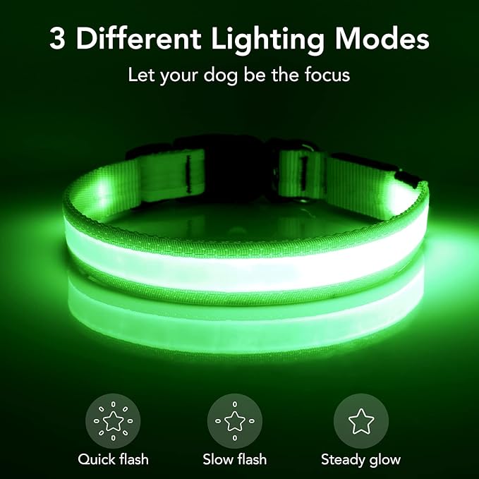 Vizpet LED Dog Collar, Light Up Dog Collar Adjustable USB Rechargeable Super Bright Safety Light