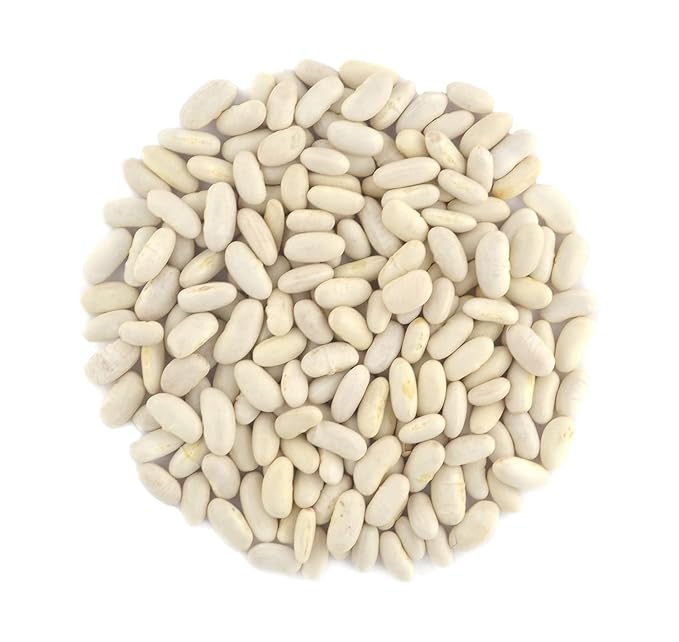 Organic Great Northern Beans,Raw, non GMO, Vegan, Bulk (9LB)