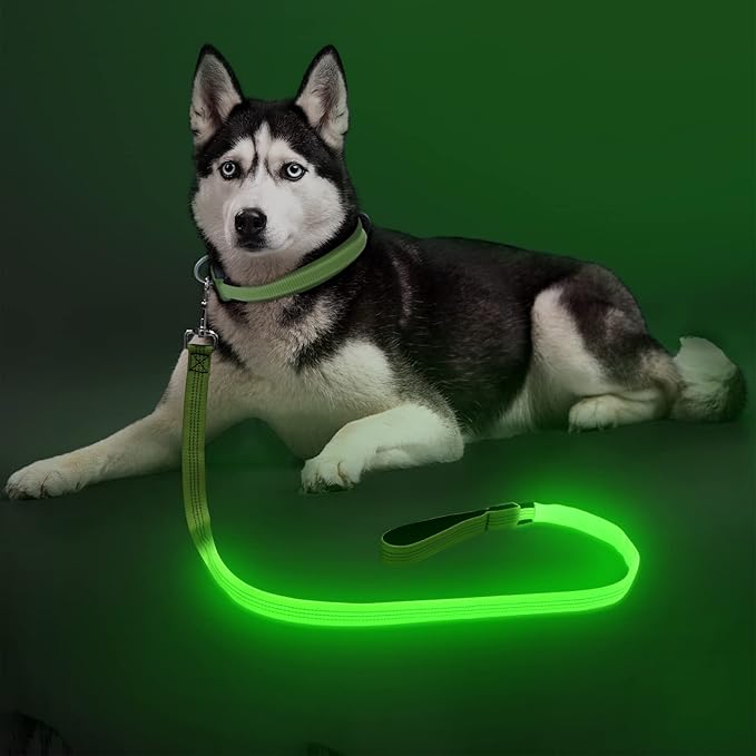 Colaseeme Light Up Dog Leash, LED Pet Leashes USB Rechargeable, Glow Safety Dogs Lights at Night