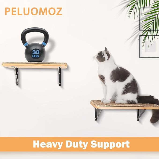2PCS Cat Wall Shelves with Scratching Mat, 16.6x9.7 Inch Large Cat Wall Hammock Cats Furniture