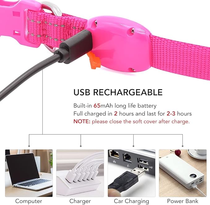 Visinite Light Up Dog Collars for Small Dogs,LED Dog Collar Light Rechargeable,Fully Adjustable