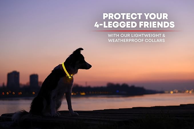 ILLUMISEEN LED Dog Collar USB Rechargeable - Bright & High Visibility Lighted Glow Collar for Pet