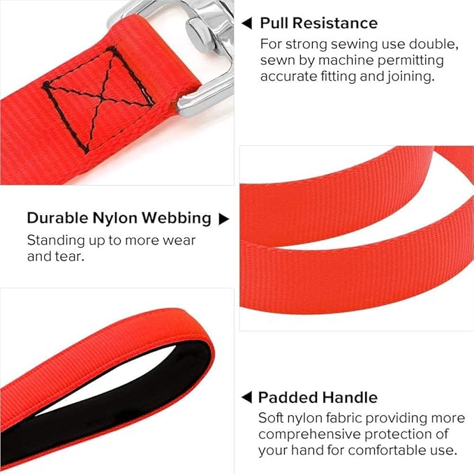 Colaseeme Light Up Dog Leash, LED Pet Leashes USB Rechargeable, Glow Safety Dogs Lights at Night