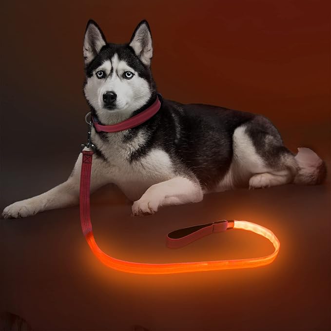 Colaseeme Light Up Dog Leash, LED Pet Leashes USB Rechargeable, Glow Safety Dogs Lights at Night