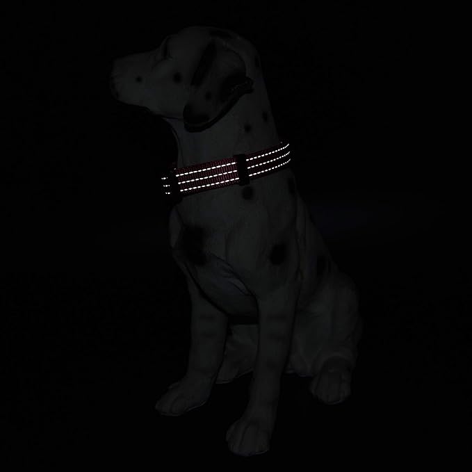 Mile High Life Dog Collar | Nylon Reflective Dog Collars | Light Weight Puppy Collars | Pink Dog