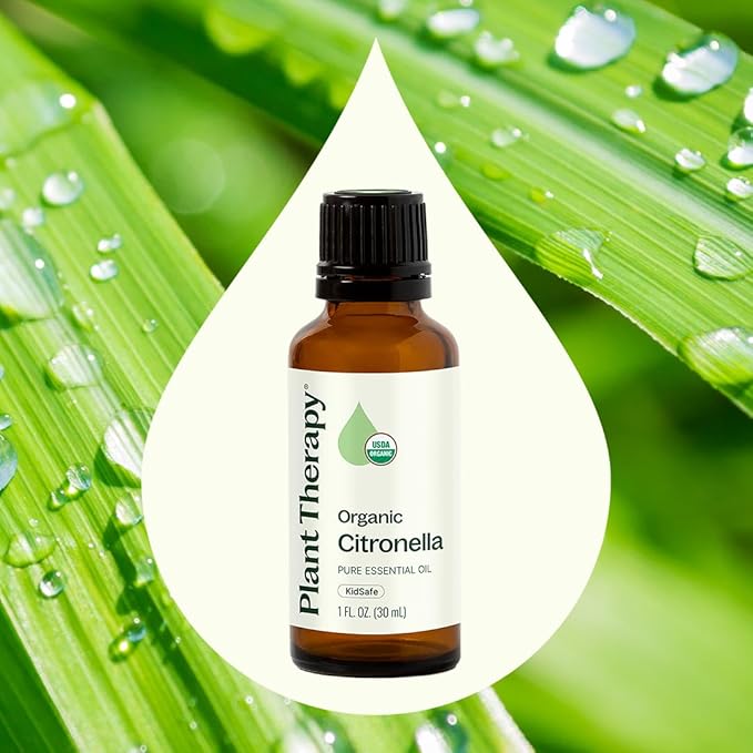 Plant Therapy Citronella Organic Essential Oil 100% Pure, USDA Certified Organic, Undiluted