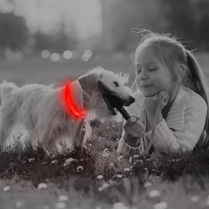 BSEEN Light Up Dog Collar, Reflective LED Dog Collar Rechargeable Glowing Puppy Collars for Small