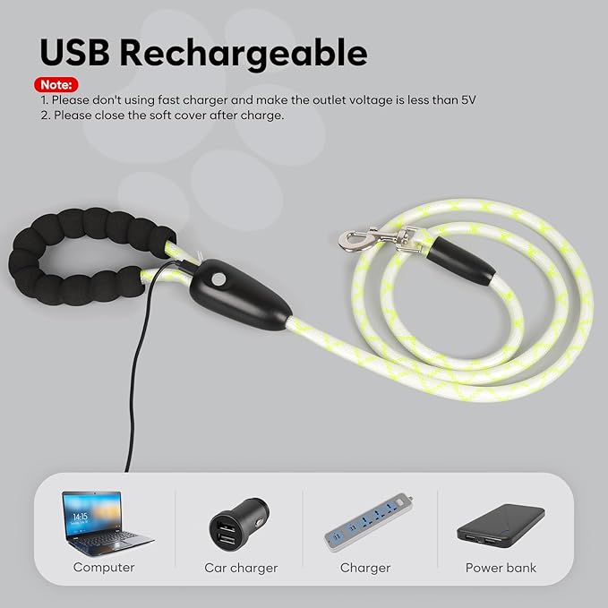 Colaseeme Light Up Dog Leash, LED Pet Leashes USB Rechargeable, Glow Safety Dogs Lights at Night
