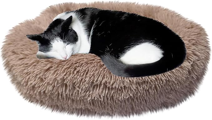 Whiskers & Friends Cat Bed, Cat Beds for Indoor Cats Washable, Orthopedic Soft Fluffy Round Calming