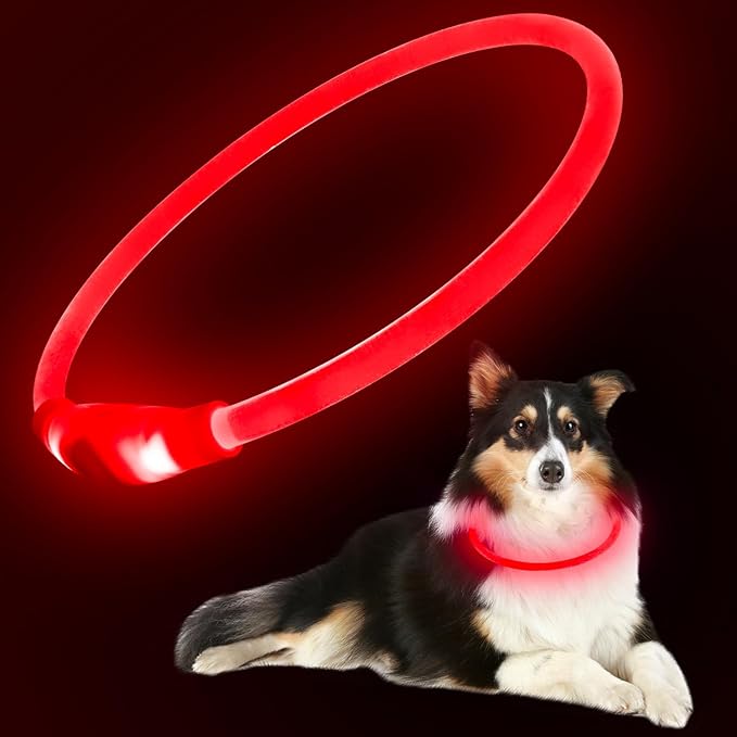Flashseen LED Dog Collar, USB Rechargeable Glowing Lighted Up Collar, Cuttable Water-Resistant TPU