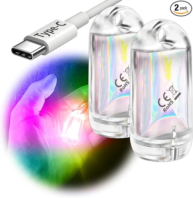 USB Mini LED Lantern, 2 Pack Waterproof EDC Keychain LED Flashlight for Camping, Type-C