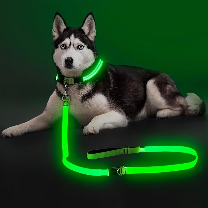 Colaseeme Light Up Dog Leash, LED Pet Leashes USB Rechargeable, Glow Safety Dogs Lights at Night
