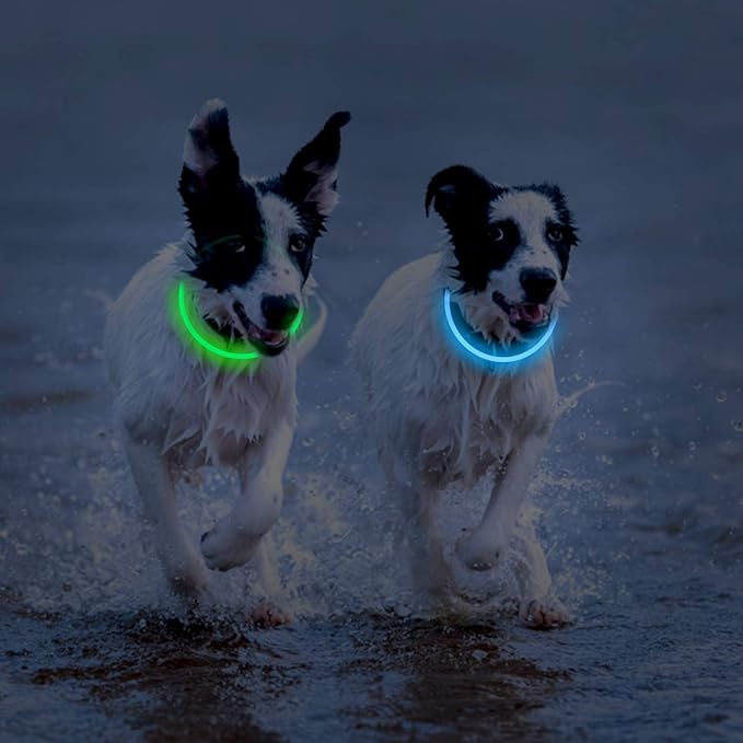 2-Pack LED Dog Collar, Light Up Dog Collars,Rechargeable Dog Lights for Night Walking，Universal