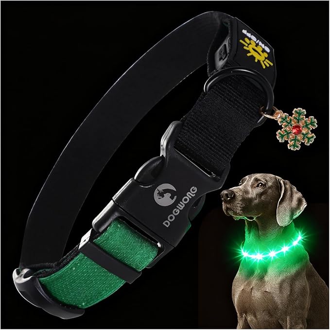DOGWONG LED Dog Collar - Heavy Duty Light up Collars - Rechargeable Waterproof - Lighted Dog Collar