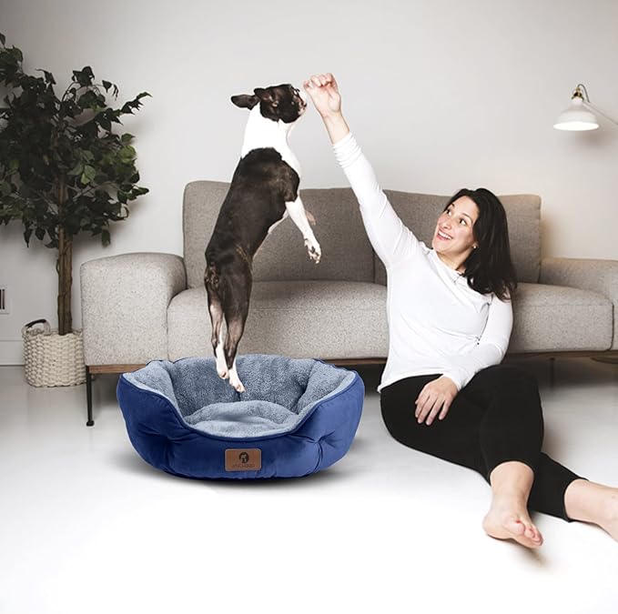 Asvin Medium Dog Bed for Medium Dogs, Large Cat Beds for Indoor Cats, Pet Bed for Puppy and Kitty