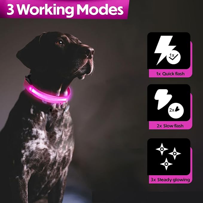 Light Up Dog Collar ??Reflective, Adjustable & Rechargeable Electronic Glow Pet Collars ??Bright