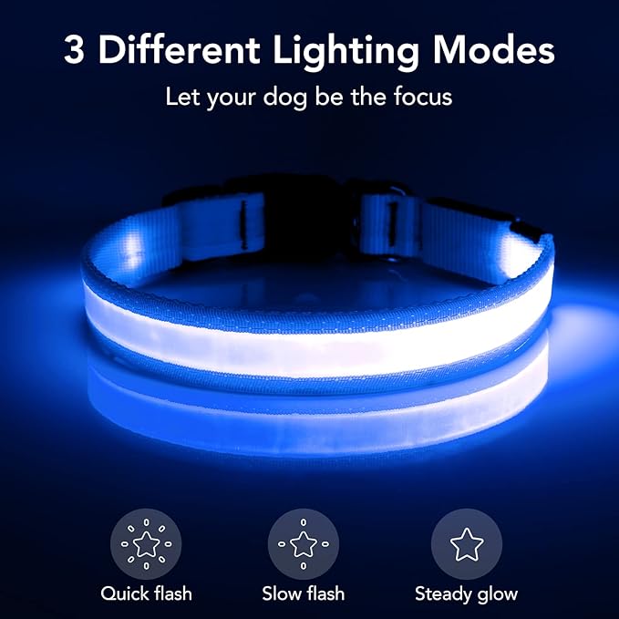Vizpet LED Dog Collar, Light Up Dog Collar Adjustable USB Rechargeable Super Bright Safety Light