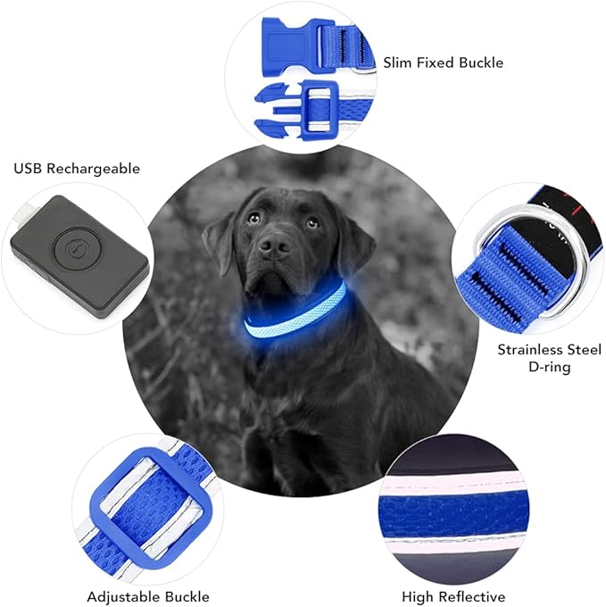 YFbrite Light up Dog Collar, USB Rechargeable LED Puppy Collar Super Bright Adjustable Glowing Dog