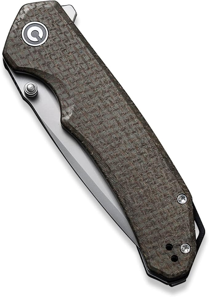 CIVIVI Brazen Pocket Knife,3.5-Inch Folding Knife Tanto D2 Blade,Micarta Outdoor Camping Hiking